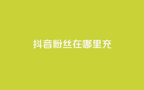 抖音粉丝在哪里充 - 如何在抖音平台给粉丝充值的详细指南! 第1张 抖音粉丝在哪里充 - 如何在抖音平台给粉丝充值的详细指南! 第1张