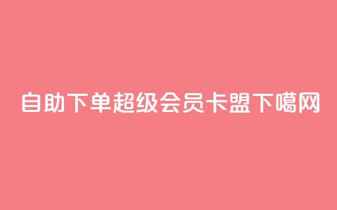 qq自助下单 - 超级会员卡盟 第1张 qq自助下单 - 超级会员卡盟 第1张