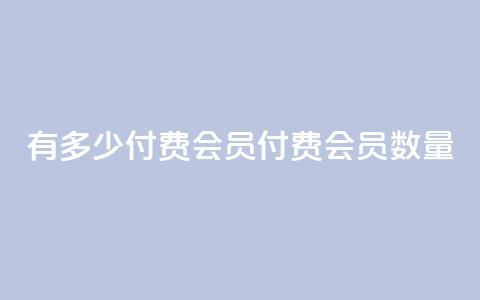 qq有多少付费会员(qq付费会员数量) 第1张 qq有多少付费会员(qq付费会员数量) 第1张