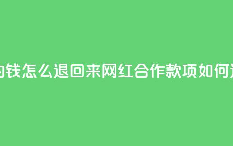 网红助力的钱怎么退回来(网红合作款项如何退还) 第1张 网红助力的钱怎么退回来(网红合作款项如何退还) 第1张