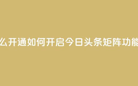 今日头条矩阵怎么开通 - 如何开启今日头条矩阵功能详细指南! 第1张 今日头条矩阵怎么开通 - 如何开启今日头条矩阵功能详细指南! 第1张