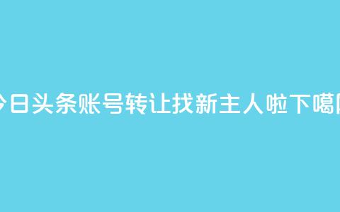 今日头条账号转让:找新主人啦! 第1张 今日头条账号转让:找新主人啦! 第1张