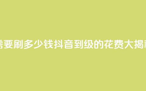 抖音1-60级需要刷多少钱 - 抖音1到60级的花费大揭秘~ 第1张 抖音1-60级需要刷多少钱 - 抖音1到60级的花费大揭秘~ 第1张