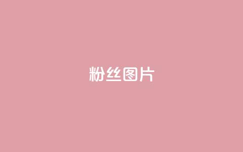 粉丝图片,快手最便宜播放量和点赞 - 抖赚app官方版下载 qq空间浏览下单 第1张 粉丝图片,快手最便宜播放量和点赞 - 抖赚app官方版下载 qq空间浏览下单 第1张