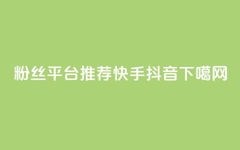 粉丝平台推荐:快手 & 抖音 第1张 粉丝平台推荐:快手 & 抖音 第1张