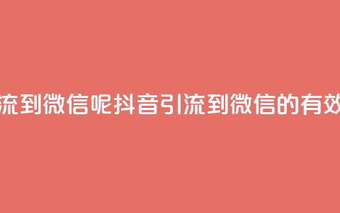 抖音怎么引流到微信呢(抖音引流到微信的有效方法) 第1张 抖音怎么引流到微信呢(抖音引流到微信的有效方法) 第1张