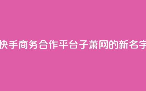 快手商务合作平台子萧网的新名字 第1张 快手商务合作平台子萧网的新名字 第1张