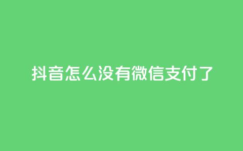 抖音怎么没有微信支付了 - 抖音为何移除了微信支付功能?! 第1张 抖音怎么没有微信支付了 - 抖音为何移除了微信支付功能?! 第1张
