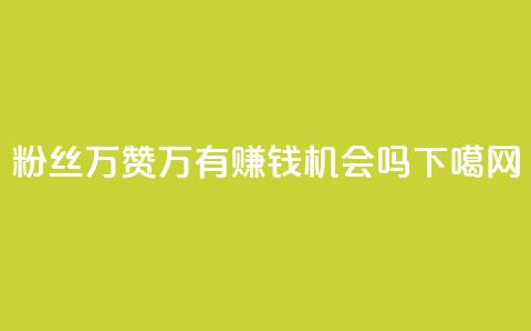 粉丝1万+赞47万,有赚钱机会吗? 第1张 粉丝1万+赞47万,有赚钱机会吗? 第1张