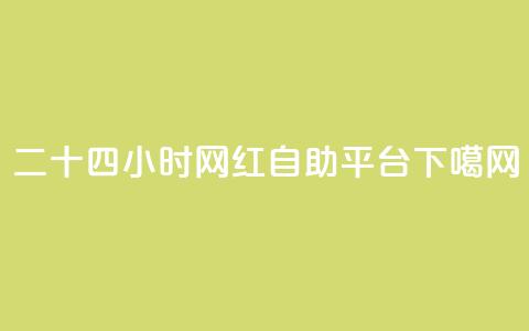 二十四小时网红自助平台 第1张 二十四小时网红自助平台 第1张