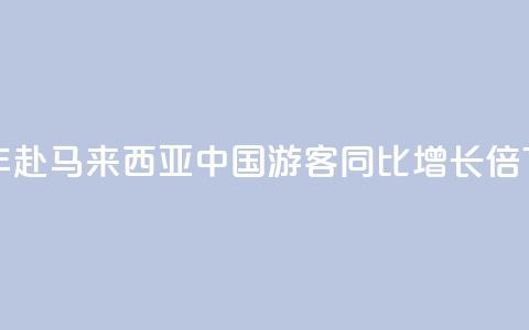 上半年赴马来西亚中国游客同比增长1.9倍 第1张 上半年赴马来西亚中国游客同比增长1.9倍 第1张