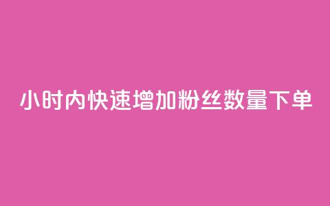 24小时内快速增加粉丝数量下单 第1张 24小时内快速增加粉丝数量下单 第1张