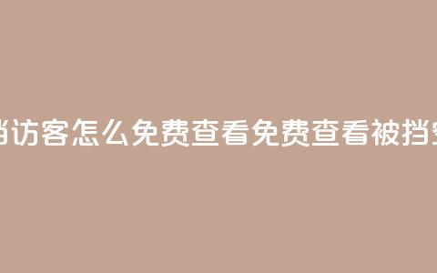 qq空间被挡访客怎么免费查看(免费查看被挡QQ空间访客) 第1张 qq空间被挡访客怎么免费查看(免费查看被挡QQ空间访客) 第1张