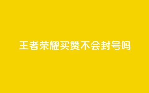 王者荣耀买赞不会封号吗 - 一元买赞100个赞 第1张 王者荣耀买赞不会封号吗 - 一元买赞100个赞 第1张