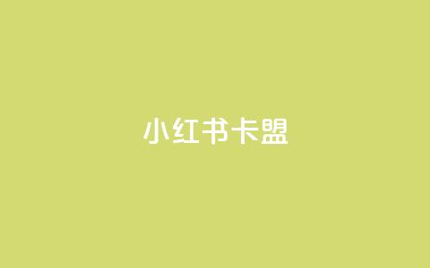 小红书卡盟 - 小红书卡盟:深入解析这一社交电商平台的隐藏商机~ 第1张 小红书卡盟 - 小红书卡盟:深入解析这一社交电商平台的隐藏商机~ 第1张