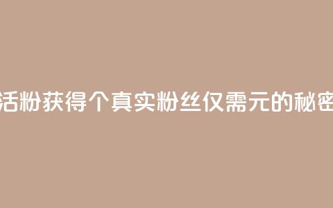 粉丝一元1000个活粉 - 获得1000个真实粉丝仅需1元的秘密揭秘! 第1张 粉丝一元1000个活粉 - 获得1000个真实粉丝仅需1元的秘密揭秘! 第1张