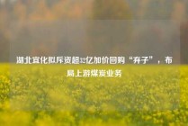 湖北宜化拟斥资超32亿加价回购“弃子”，布局上游煤炭业务