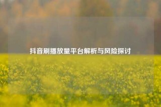 抖音刷播放量平台解析与风险探讨