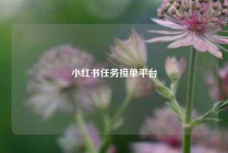 小红书任务接单平台