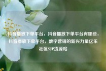 抖音播放下单平台，抖音播放下单平台有哪些，抖音播放下单平台，数字营销的新兴力量亿乐社区SUP货源站