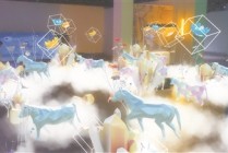 浙江美术馆馆长人民日报撰文：打开更辽阔的审美场域