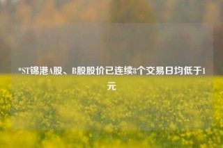 *ST锦港A股、B股股价已连续8个交易日均低于1元