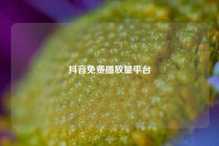 抖音免费播放量平台