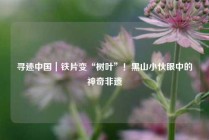 寻迹中国｜铁片变“树叶”！黑山小伙眼中的神奇非遗