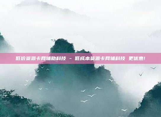 低价货源卡网辅助科技 - 低成本货源卡网辅科技 更优惠!  第1张