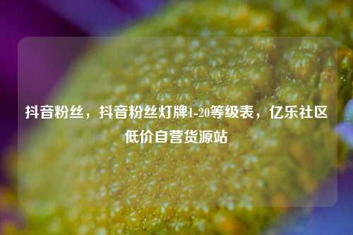 抖音粉丝	，抖音粉丝灯牌1-20等级表，亿乐社区低价自营货源站  第1张