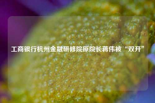 工商银行杭州金融研修院原院长蒋伟被“双开”  第1张