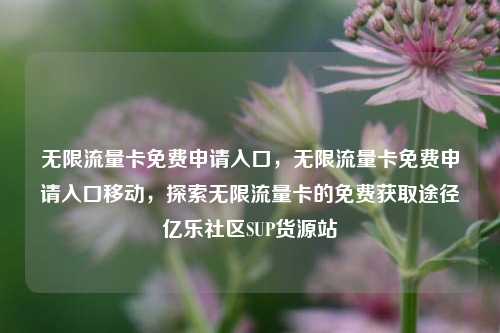 无限流量卡免费申请入口，无限流量卡免费申请入口移动，探索无限流量卡的免费获取途径亿乐社区SUP货源站  第1张