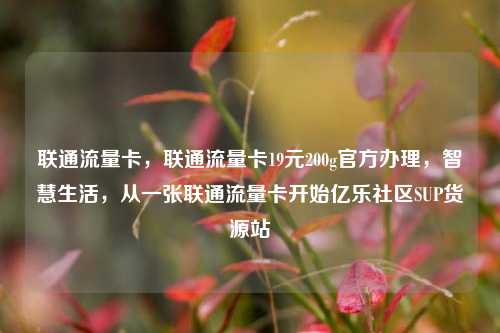 联通流量卡，联通流量卡19元200g官方办理	，智慧生活，从一张联通流量卡开始亿乐社区SUP货源站  第1张
