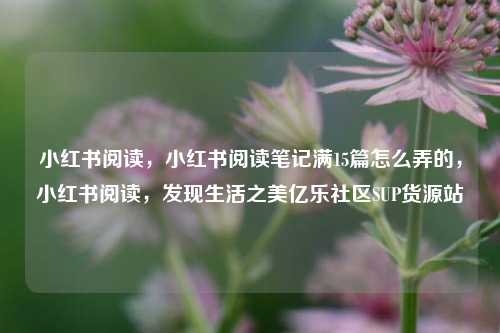 小红书阅读	，小红书阅读笔记满15篇怎么弄的，小红书阅读，发现生活之美亿乐社区SUP货源站  第1张