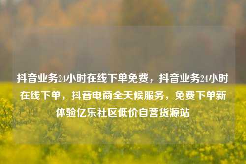 抖音业务24小时在线下单免费，抖音业务24小时在线下单，抖音电商全天候服务，免费下单新体验亿乐社区低价自营货源站  第1张