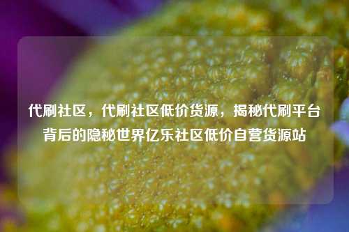 代刷社区，代刷社区低价货源，揭秘代刷平台背后的隐秘世界亿乐社区低价自营货源站  第1张