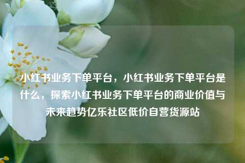 小红书业务下单平台	，小红书业务下单平台是什么，探索小红书业务下单平台的商业价值与未来趋势亿乐社区低价自营货源站  第1张