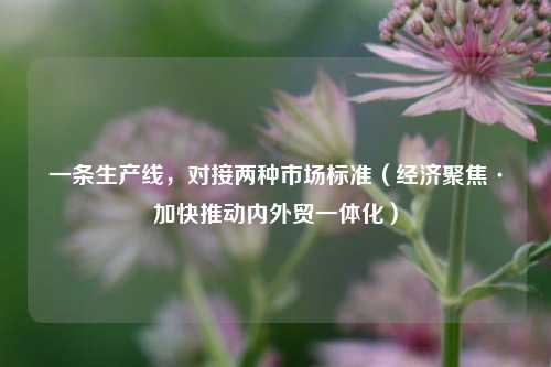 一条生产线	，对接两种市场标准（经济聚焦·加快推动内外贸一体化）  第1张