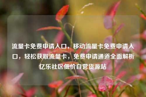 流量卡免费申请入口，移动流量卡免费申请入口，轻松获取流量卡	，免费申请通道全面解析亿乐社区低价自营货源站  第1张