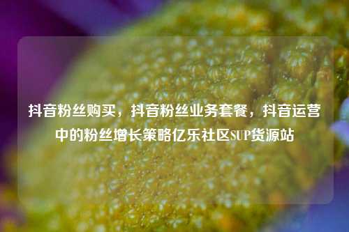 抖音粉丝购买	，抖音粉丝业务套餐，抖音运营中的粉丝增长策略亿乐社区SUP货源站  第1张