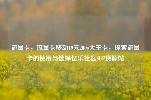 流量卡，流量卡移动19元200g大王卡	，探索流量卡的使用与选择亿乐社区SUP货源站  第1张