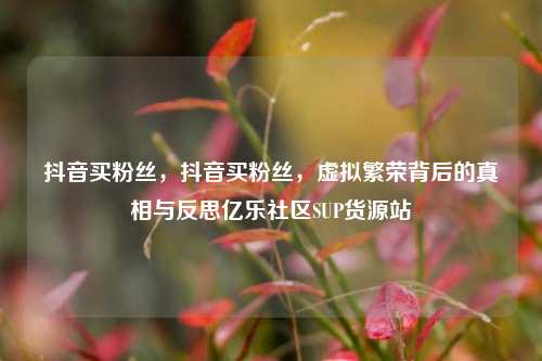 抖音买粉丝，抖音买粉丝，虚拟繁荣背后的真相与反思亿乐社区SUP货源站  第1张