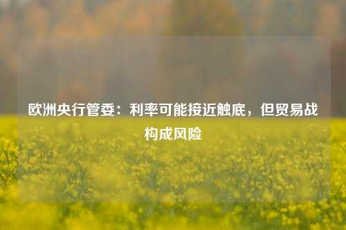 欧洲央行管委：利率可能接近触底	，但贸易战构成风险  第1张