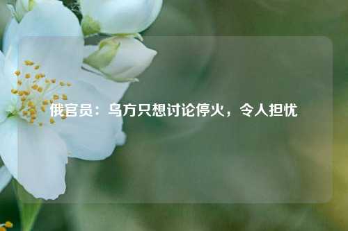 俄官员：乌方只想讨论停火	，令人担忧  第1张
