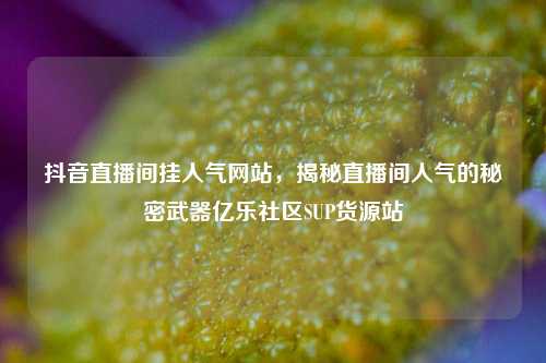 抖音直播间挂人气网站，揭秘直播间人气的秘密武器亿乐社区SUP货源站  第1张