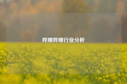 哔哩哔哩行业分析  第1张