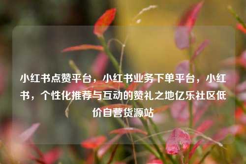 小红书点赞平台，小红书业务下单平台，小红书，个性化推荐与互动的赞礼之地亿乐社区低价自营货源站  第1张