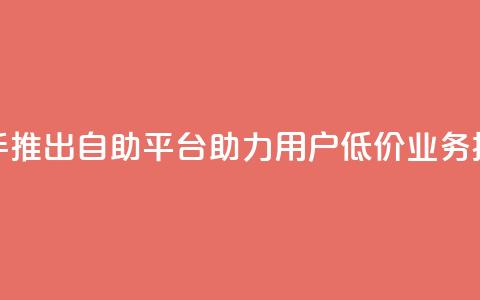 快手推出自助平台 助力用户低价业务操作  第1张