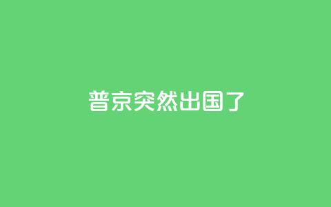 普京突然出国了 第1张 普京突然出国了 第1张