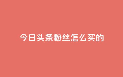 今日头条粉丝怎么买的 - vip影视会员一手货源批发  第1张
